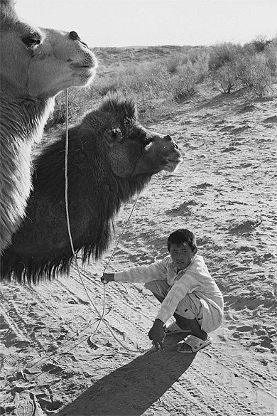Un jeune chamelier kazakh