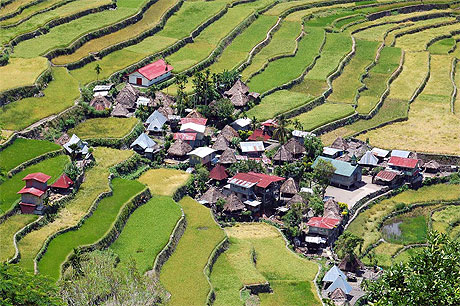 Banau rice terrace