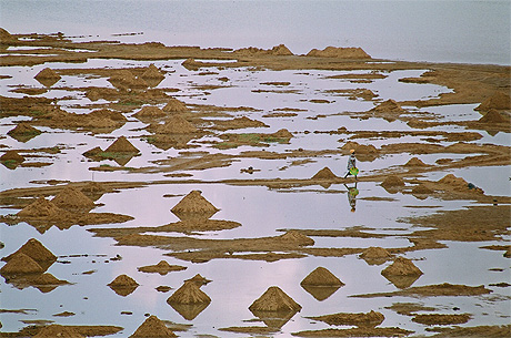 Le fleuve Niger