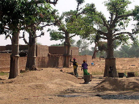On pile sous les baobabs