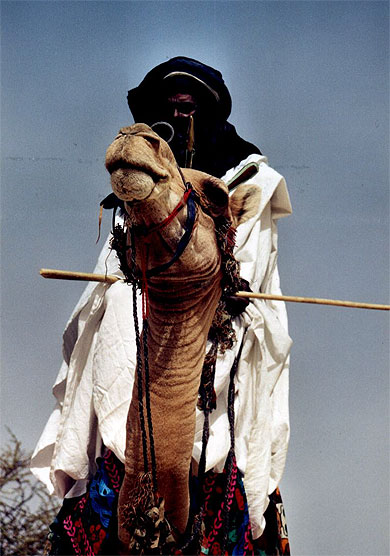 Touareg