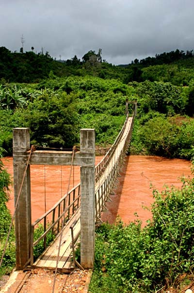 Pont perdu loin dans la for�t