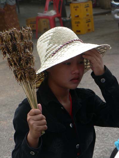 Route Luang Nam Tha - Nong Khiaw
