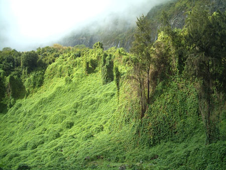 paysage