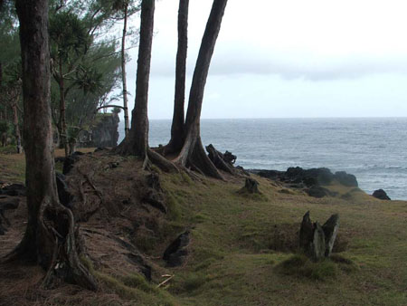 La falaise