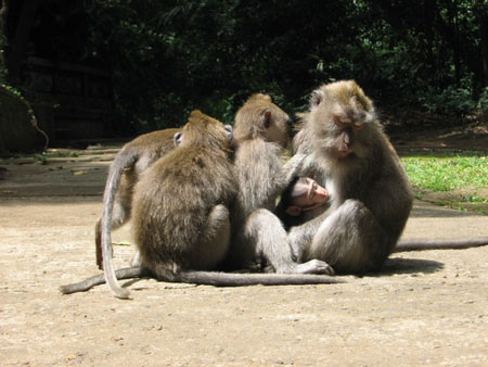 en famille