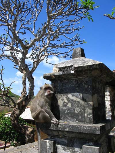 Gardiens des temples