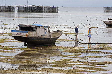 Mar�e basse