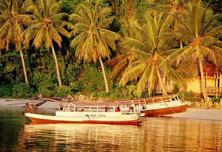 Bateaux et cocotiers