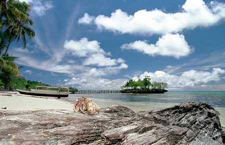 Nanard � la plage