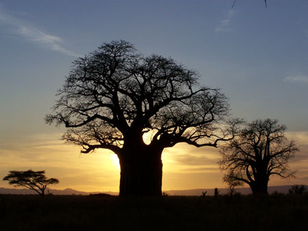sunset  in  tanzania