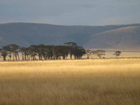 crat�re du ngorongoro