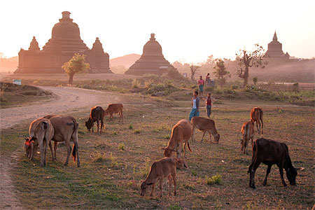 Paturage antique