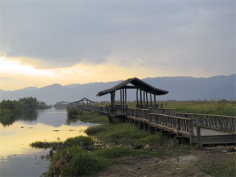 Ponton