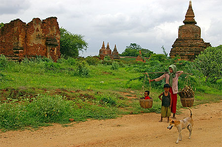 Bagan - corv�e de bois en famille