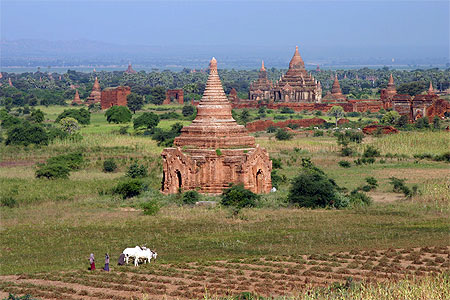 Paysage