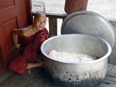 Riz, element de survie