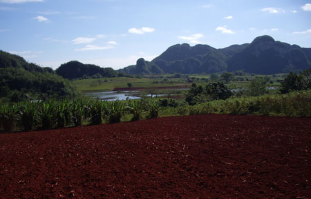 La terre rouge de Vi�ales