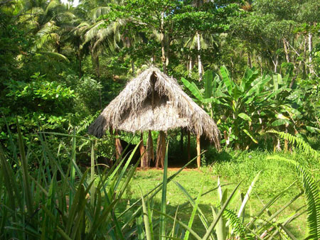 Petite hutte