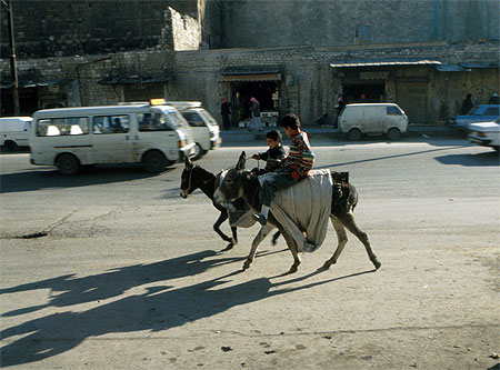 Course d'�nes