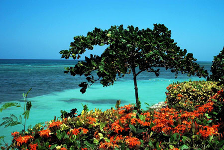 turquoise