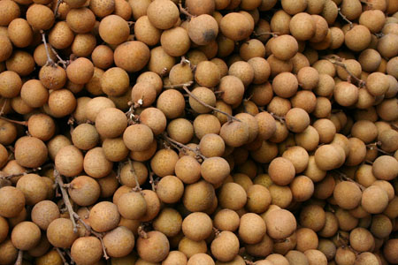 Longan