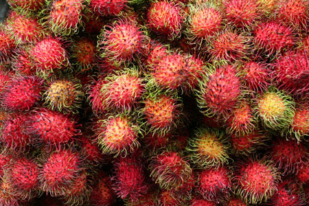 Rambutan