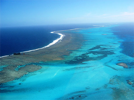 Australie : nouveaux efforts pour protéger la grande barrière de corail