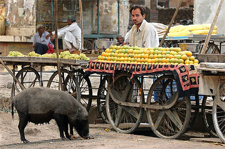 Le march� a rathambore