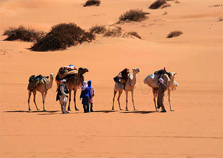 Rencontre entre Touaregs