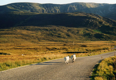 circulation irlandaise