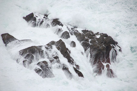 pointe de sheep's head