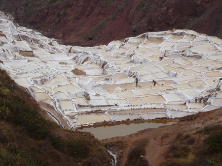 travail dans les salines