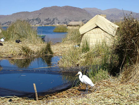 Islas Flotantes