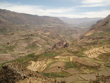 le Canyon de Colca