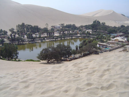 Oasis � touristes