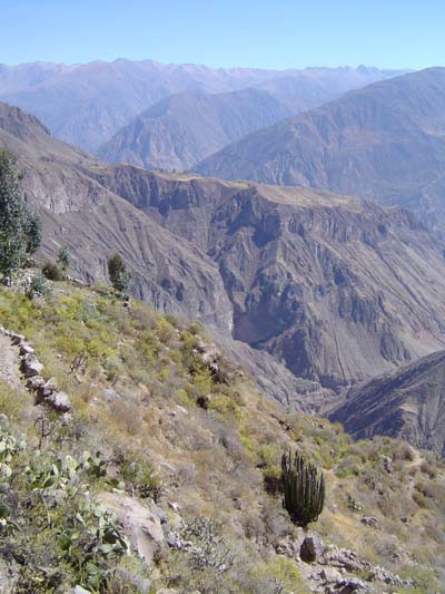 Canyon del Colca