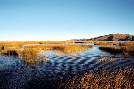 Titicaca