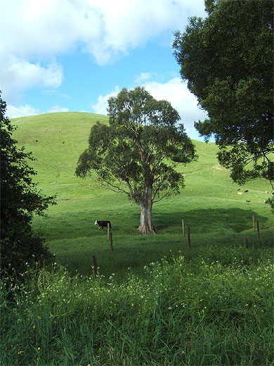 Un air de Normandie en Australie