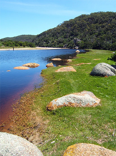 Tidal River