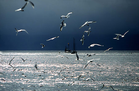 contre-jour