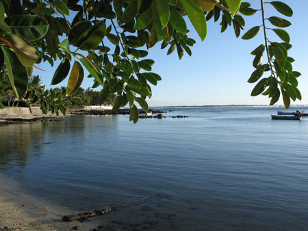 l� tranquil � l'ombre du caoutchouc
