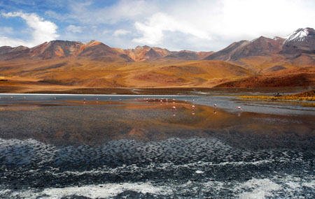 flamants et laguna