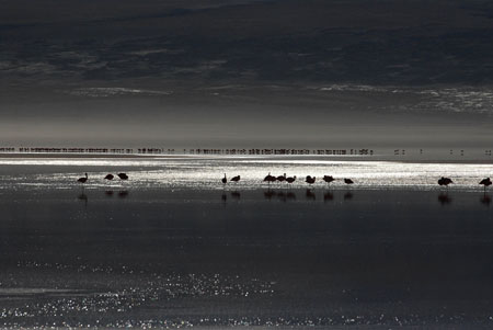 Nuit sur la lagune