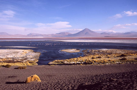 vue sur la laguna colorada