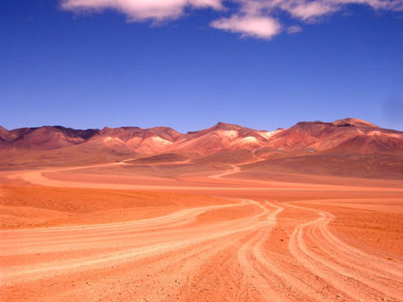 Creme desert