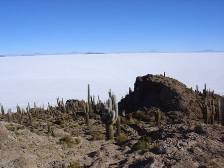 isla pescado