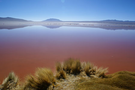 laguna
