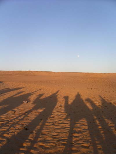 M�har�e sous la lune