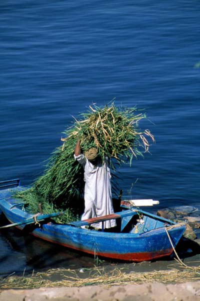 Ile El�phantine, paysan 